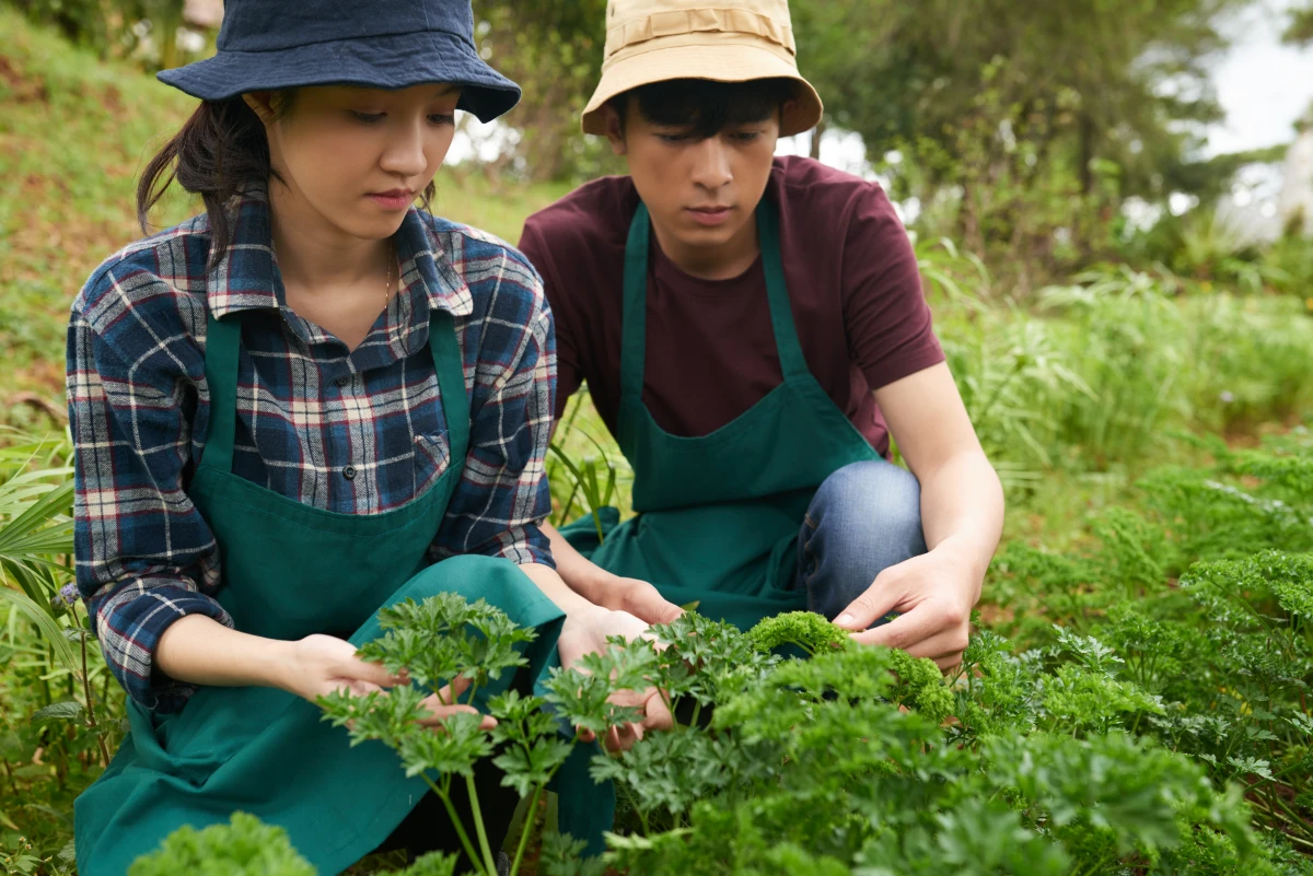 Maximisez la valeur de votre terrain agricole : Stratégies gagnantes pour une vente réussie